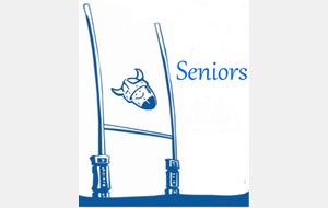 Le calendrier du championnat Seniors est disponible...