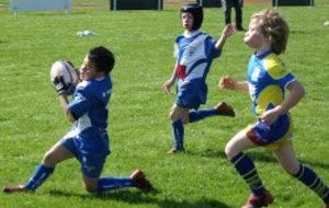 Tournoi école de rugby