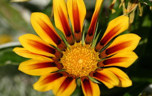 Des bisous à Coco...