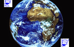 RCY à travers le monde...