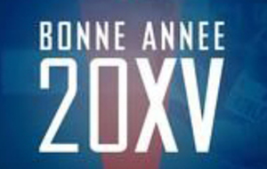 Bonne année 2015...