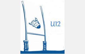 U12: finales territoriales...