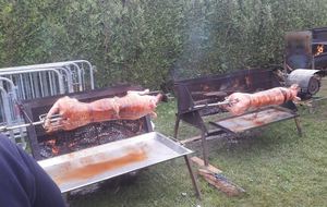 Merci aux Vikings...