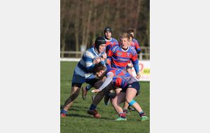 Les ligaments pour Alban..