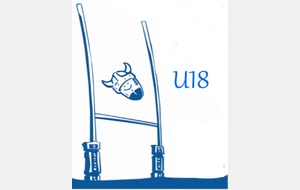 U18: Championnat Phliponeau B poule 8 / J5