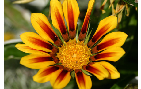 Des bisous à Coco...