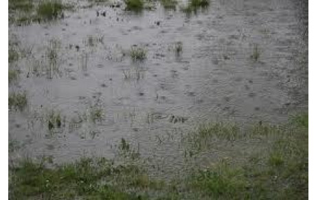 Plateau Ecole de Rugby annulé...