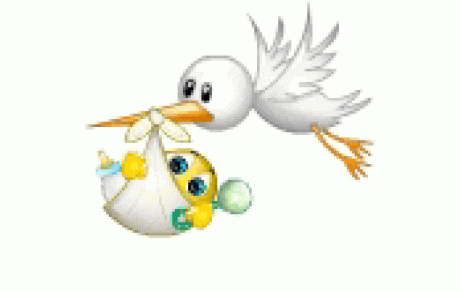 Félicitations à Georgina et Etienne...