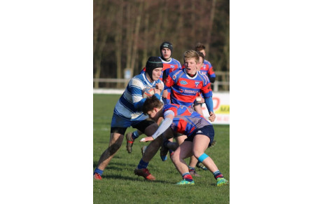 Les ligaments pour Alban..